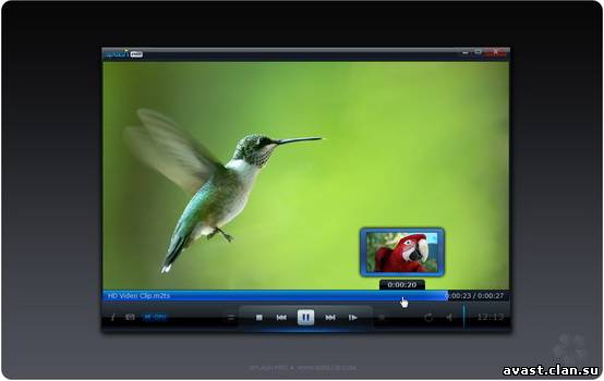 Can Windows Media Player 11 Play M2ts Files In Windows